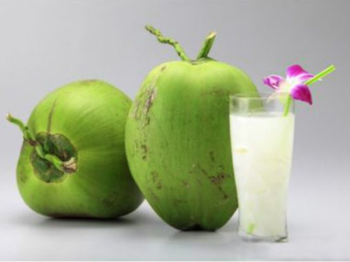 Mơ thấy quả dừa – Giải mã điềm báo giấc mơ thấy quả dừa