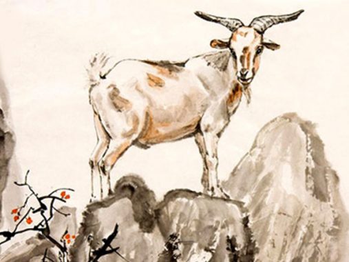 Sinh năm 1991 mệnh gì? Phân tích tử vi nam nữ sinh năm 1991