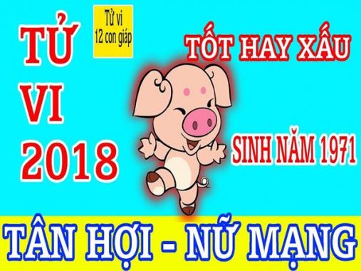 Tử vi Tân Hợi năm 2020 nữ mạng chi tiết nhất