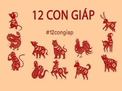 Tử vi tuần mới của những con giáp từ 30/12/2019 – 5/1/2020 : Mão hợp làm ăn