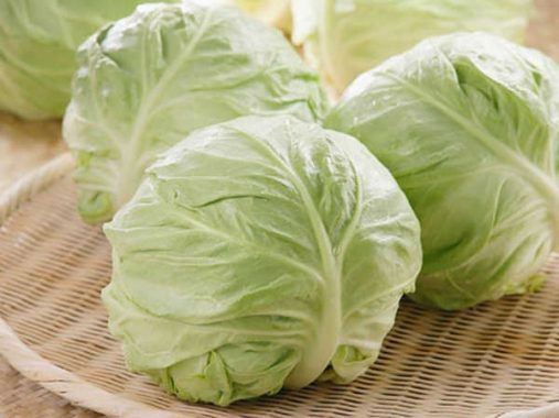 Mơ thấy bắp cải đánh xổ số con gì, là điềm hên hay xui?