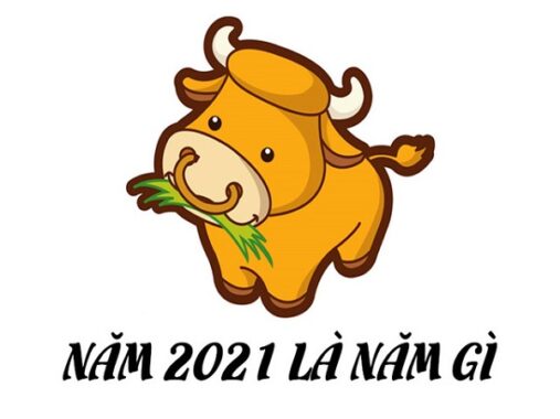 Sinh năm 2021 là năm con gì, mệnh gì?