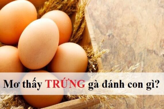 Mơ thấy trứng điềm báo gì đánh số gì chắc trúng