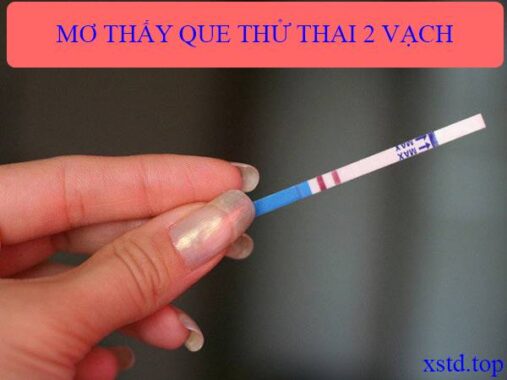 Mơ thấy que thử thai 2 vạch muốn nói đến điềm báo gì?
