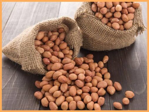 Mơ thấy củ lạc đánh con gì? Điềm báo ý nghĩa giấc mơ