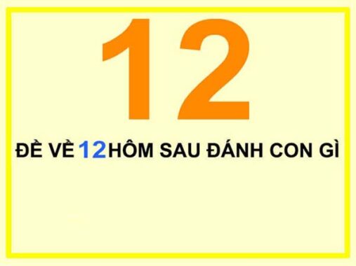 Đề về 12 – Đề về 12 ngày hôm sau đánh xổ số gì