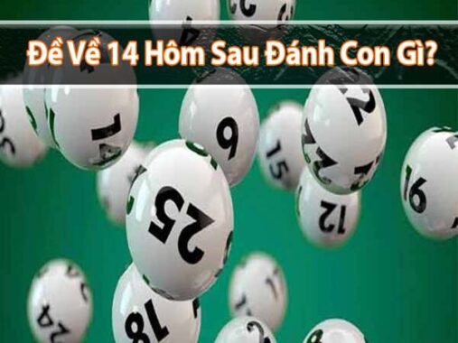 Đề về 14 hôm sau thống kê con gì – Con đề gì đẹp nhất sẽ về