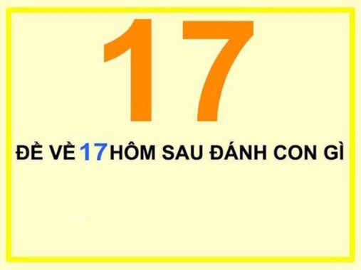 Đề về 17 hôm sau thống kê con gì ?