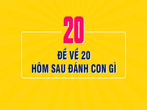 Đề về 20 hôm sau thống kê con gì – Bí quyết thống kê số đề đánh xổ số số mấy