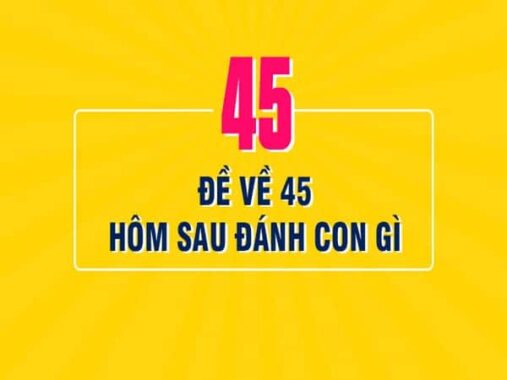 Đề về 45 hôm sau  thống kê con gì, tìm hiểu ý nghĩa con số 45