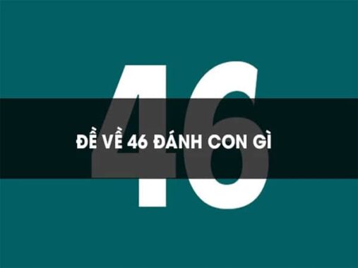 Đề về 46 hôm sau  thống kê con gì gặp may, giải mã giấc mơ đề về 46