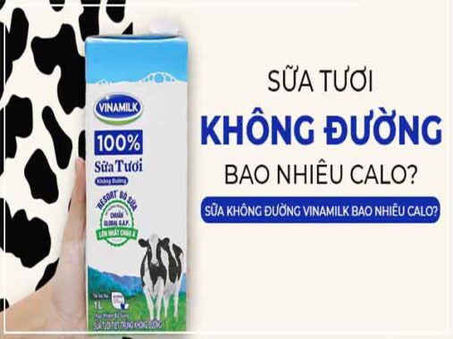 Sữa tươi không đường bao nhiêu calo – Uống như nào cho tốt
