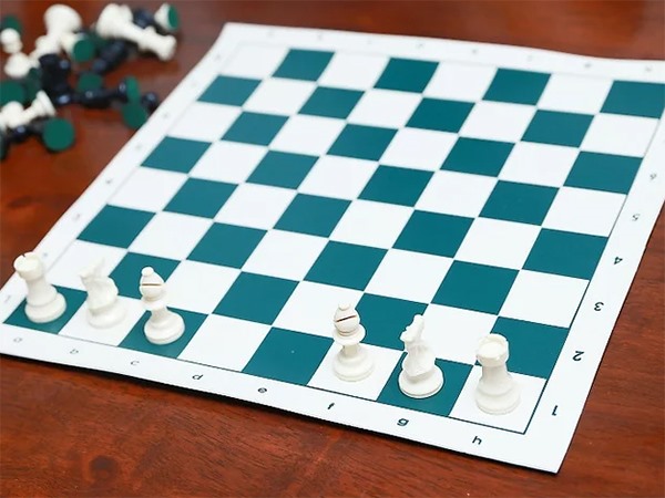 Cách xếp cờ vua chuẩn hướng dẫn từ cơ bản đến nâng cao 