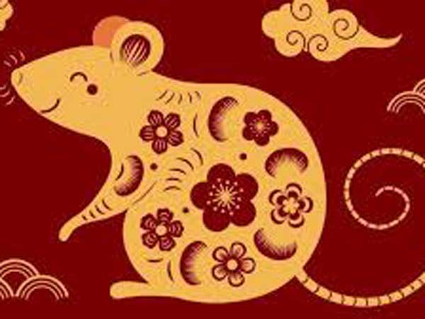 Tổng quan tử vi tuổi Bính Tý ngày 6/6/2025