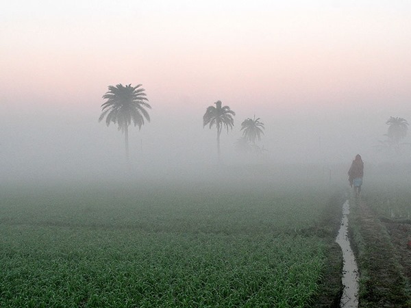 Ngủ mơ thấy sương mù cảnh báo trước điều gì?